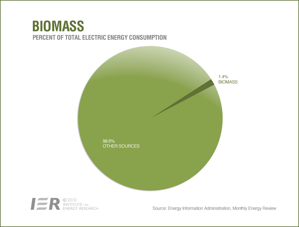 biomass electricity consumption