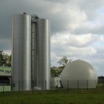 biomass