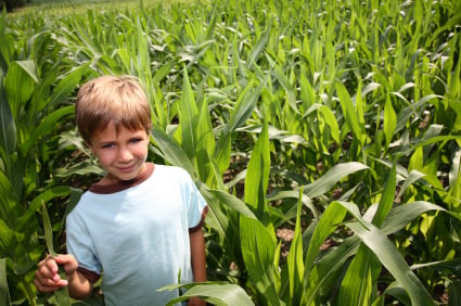 boy with corn