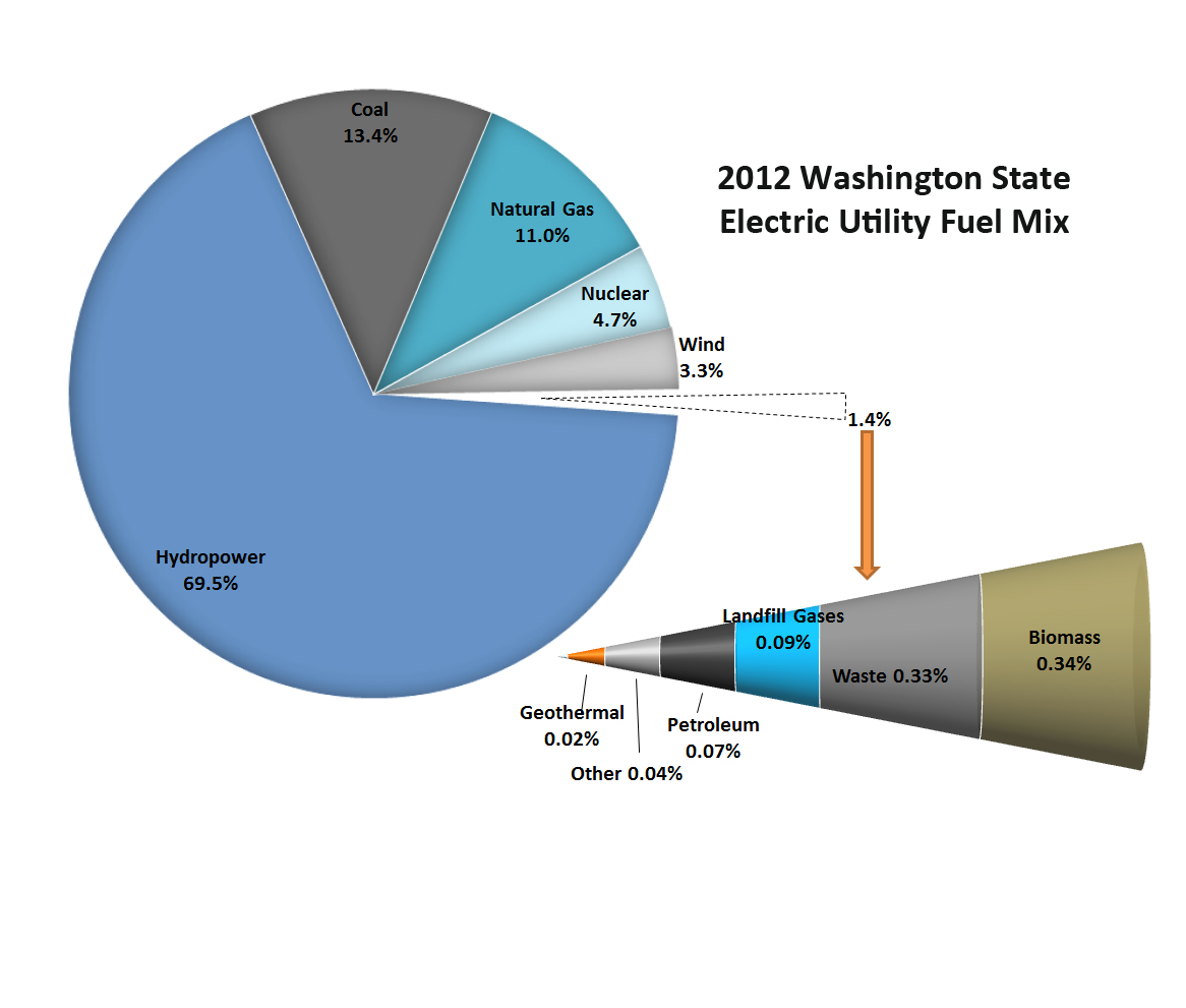Washington State Electric Utility Mix