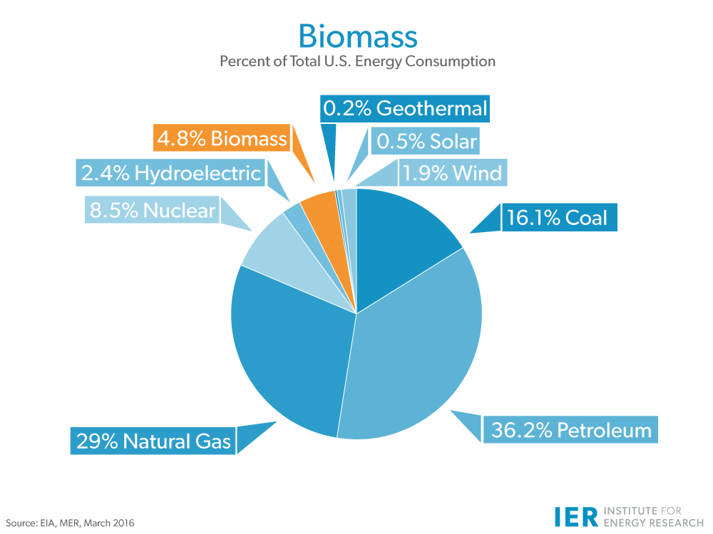 Biomass IER