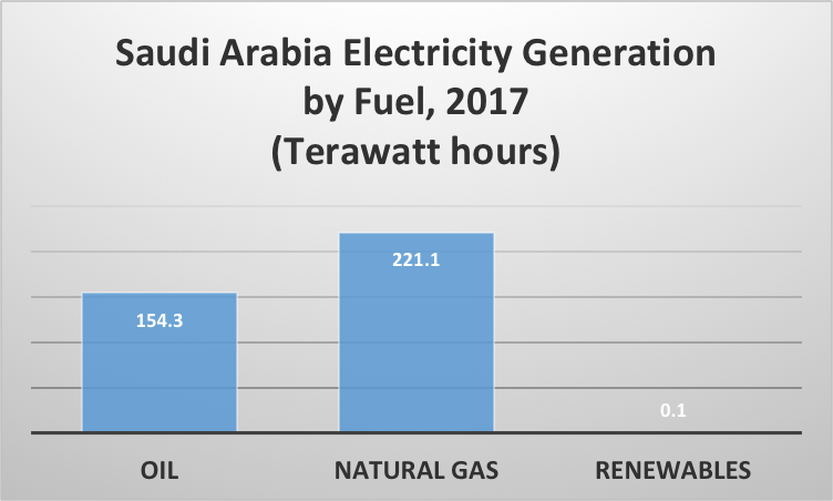 Saudi Arabia Electricity Generation by Fuel