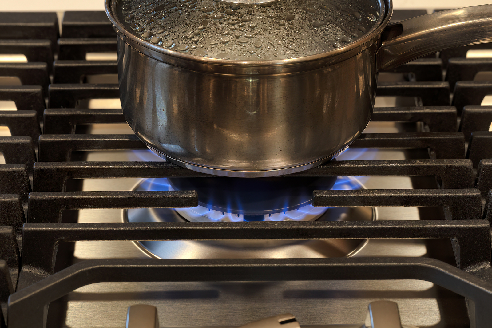 New York State Passes Ban on Gas Stoves in New Buildings IER